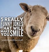 Image result for Real Funny Jokes and Quotes