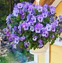 Image result for Artificial Outdoor Hanging Plants