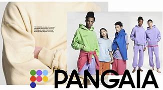 Image result for Pangaia Clothes Kids