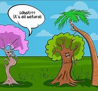Image result for Funny Tree Jokes