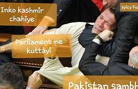 Image result for Funny Parliament Fights