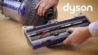 Image result for Dyson Animal Ball Problems
