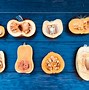 Image result for Squash Plant Identification Chart