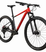 Image result for 2021 Cannondale Bikes