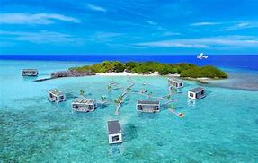 Image result for Floating Apartment Building