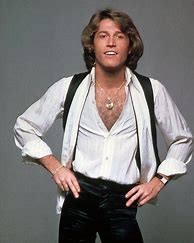 Image result for andy gibb poster