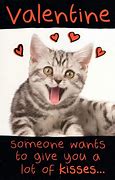 Image result for Funny Cat Valentine's