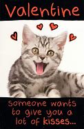 Image result for Funny Cat Valentine's