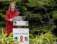 Image result for Nancy Pelosi House in Napa Valley
