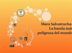 Image result for La Mara Salvatrucha