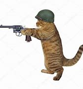 Image result for Cats with Guns
