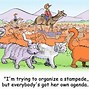 Image result for All Cat Cartoons