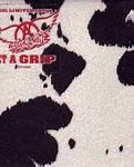 Image result for Get A Grip By Aerosmith (0001-01-01)