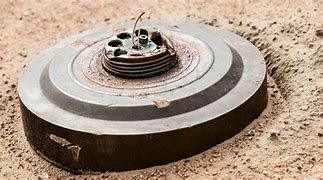 Image result for landmine sniffing r at to retire