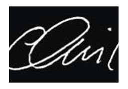 Image result for Chris Pratt Signature