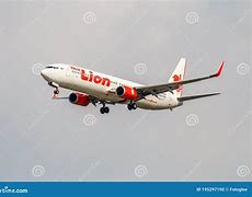 Image result for Airport Lion