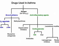 Image result for Asthma Medications List