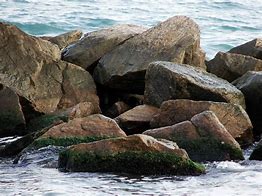 Image result for Rocks Path in Sea