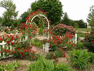 Image result for Rose Garden Trellis
