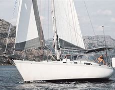 Image result for Sailing Uma Life Vests