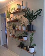 Image result for Plant Home Decor Ideas
