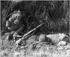Image result for WWII Dead