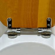 Image result for Toilet Seat Hinge Replacement Parts