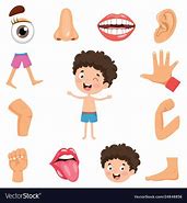 Image result for Cute Cartoon Body Learning
