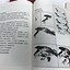 Image result for Calligraphy Books