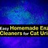 Image result for Cat Urine Cleaner