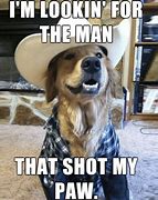 Image result for Funny Dog Jokes for Adults