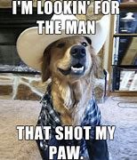 Image result for Funny Jokes About Dogs