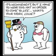 Image result for Snow Humor