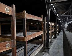 Image result for Auschwitz Interior