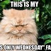 Image result for Funny Wednesday Work Day Quotes