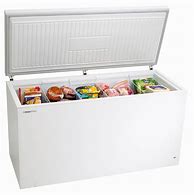 Image result for Pics of Freezer