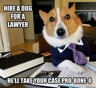 Image result for Dog Attorney