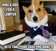 Image result for Art Lawyer Dogs