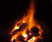 Image result for Fire Treated Wood