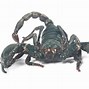 Image result for Monstrous Scorpion