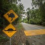 Image result for Real Funny Road Signs