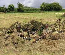 Image result for WW2 Crines