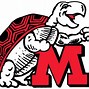 Image result for Maryland Terrapins Colors