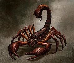 Image result for Dnd Scorpion