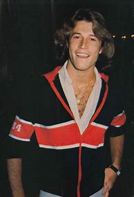 Image result for Andy Gibb Hair