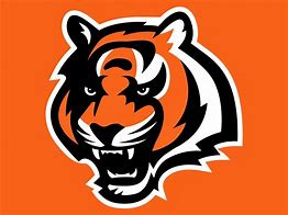 Image result for NFL Cincinnati Bengals Logo