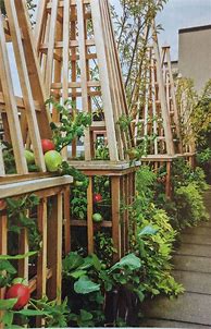 Image result for Decorative Tomato Cages