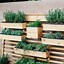Image result for Outdoor Wall Planter Wood