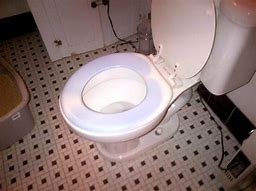 Image result for Blue Toilet