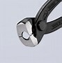 Image result for Ear Clamp Pliers